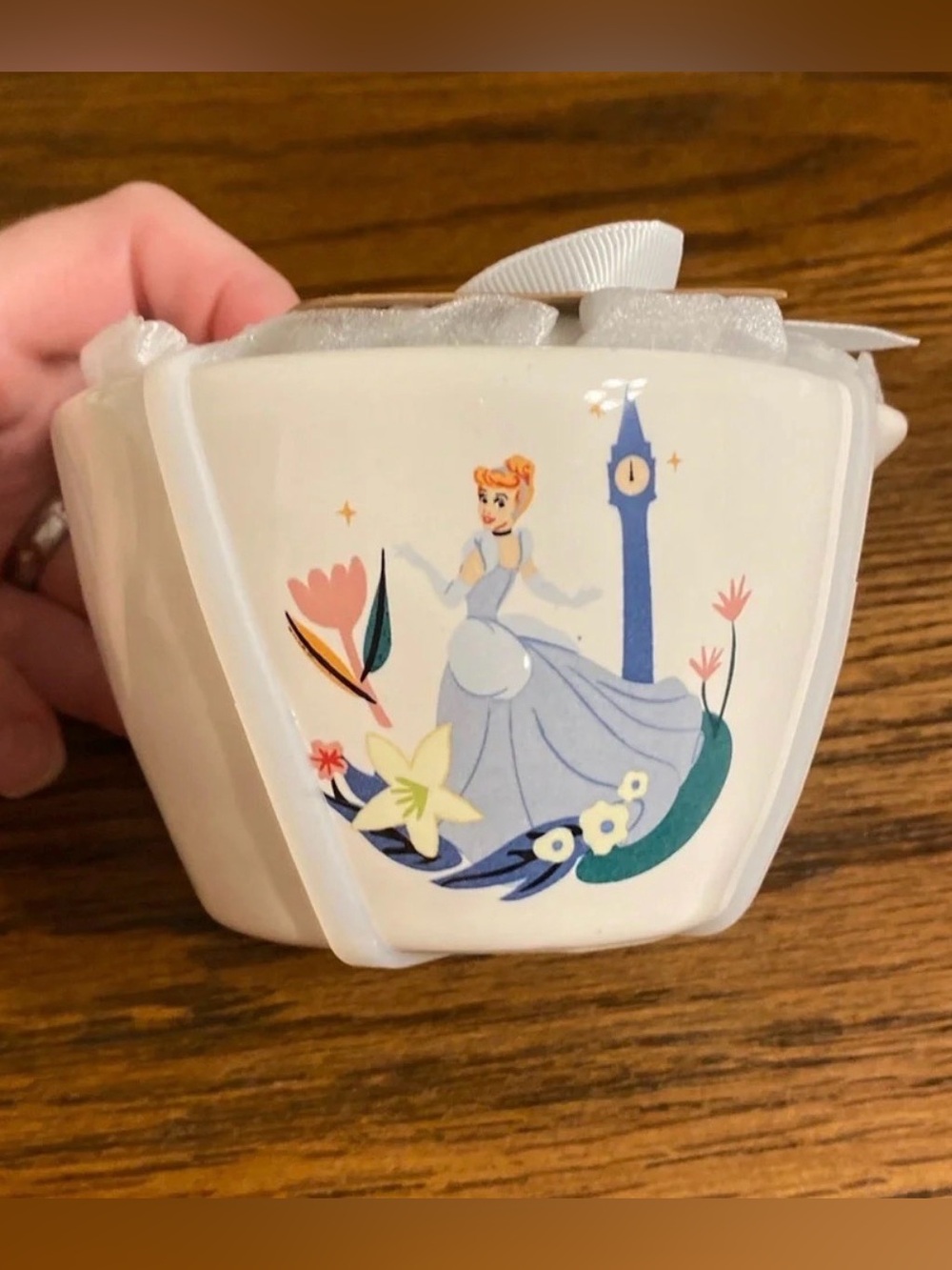 Rae Dunn Disney Princesses measuring cups